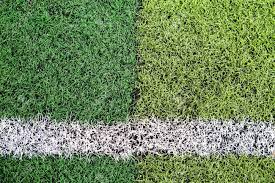 Are Football Fields Made Of Real Grass, Synthetic Grass VS Real Grass, Advantages and Disadvantages.